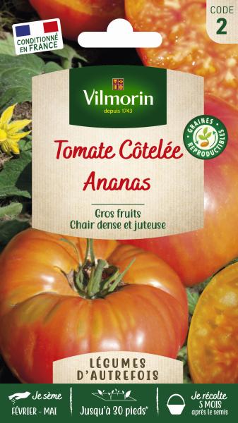 Potagères - Tomate Ananas - Légumes d'Autrefois - PACKAGING_RECTO